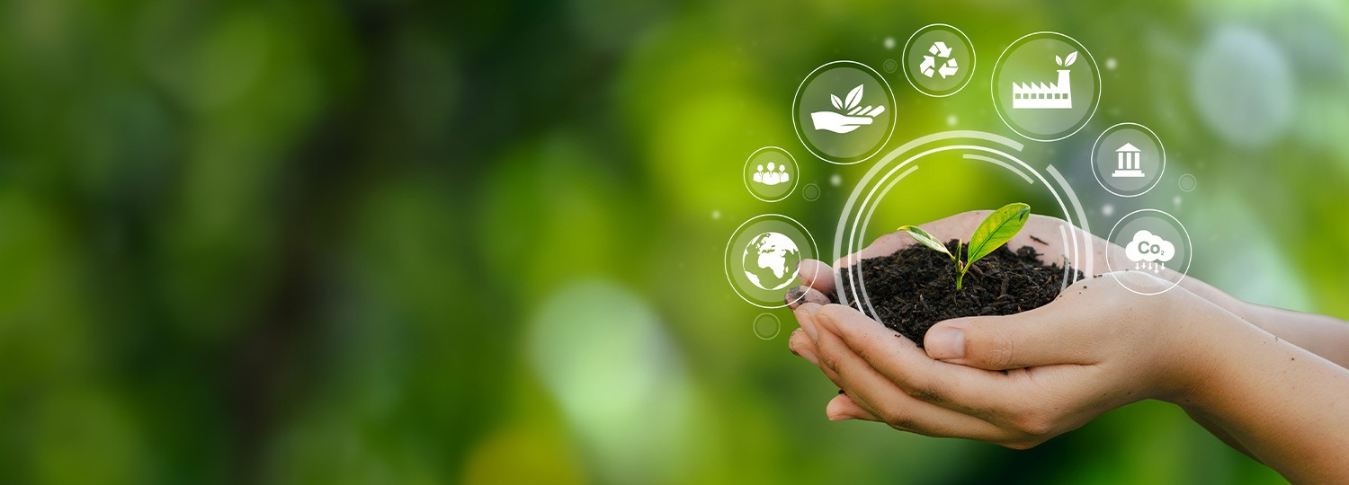 Nachhaltigkeitsberatung